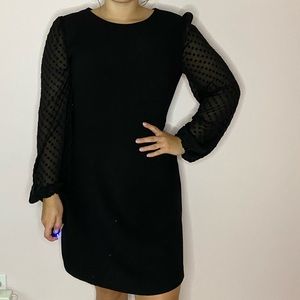 Ann Taylor Dress